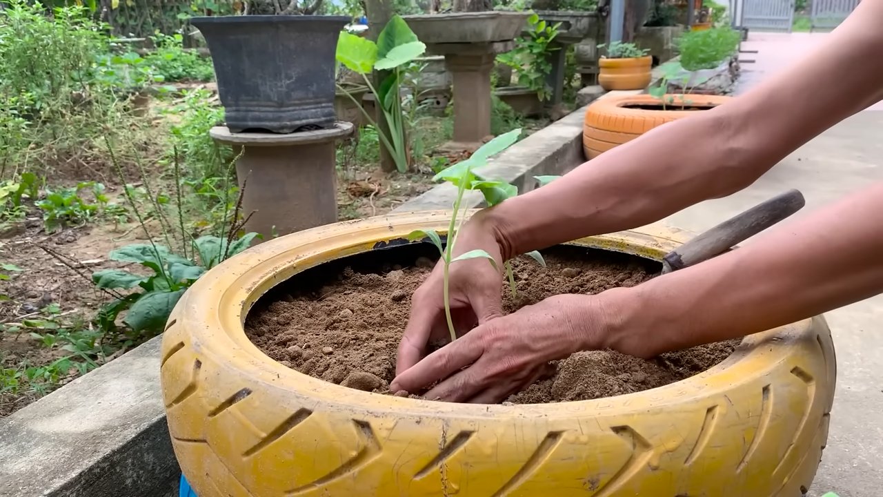 Tire pumpkin planter DIY