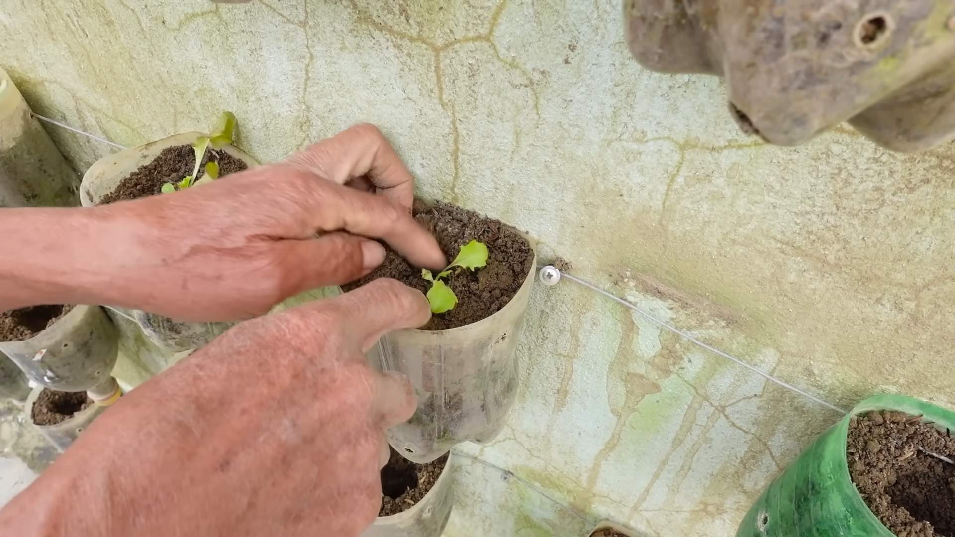 Vertical garden DIY ideas