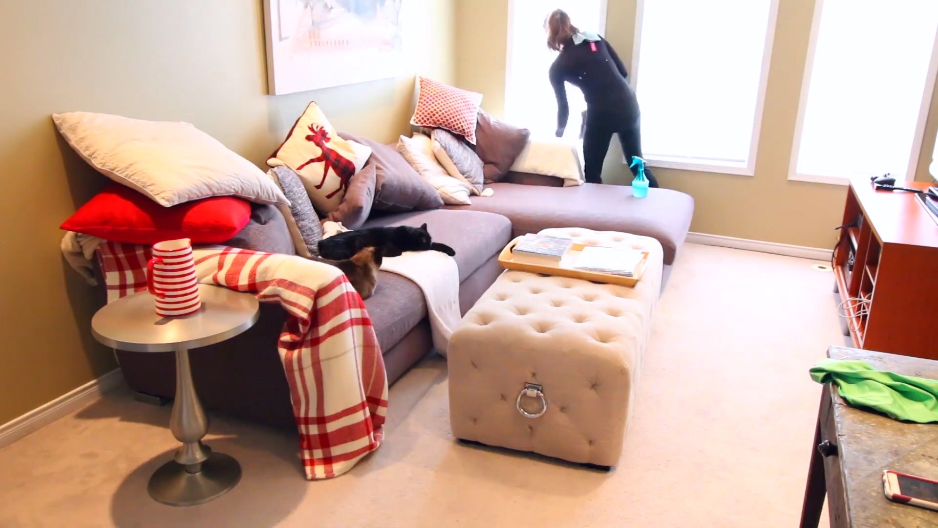 Living Room Cleaning Hacks