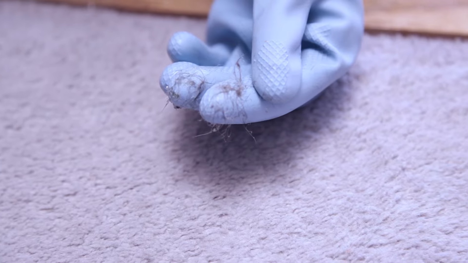 Removing Pet Hair Effectively