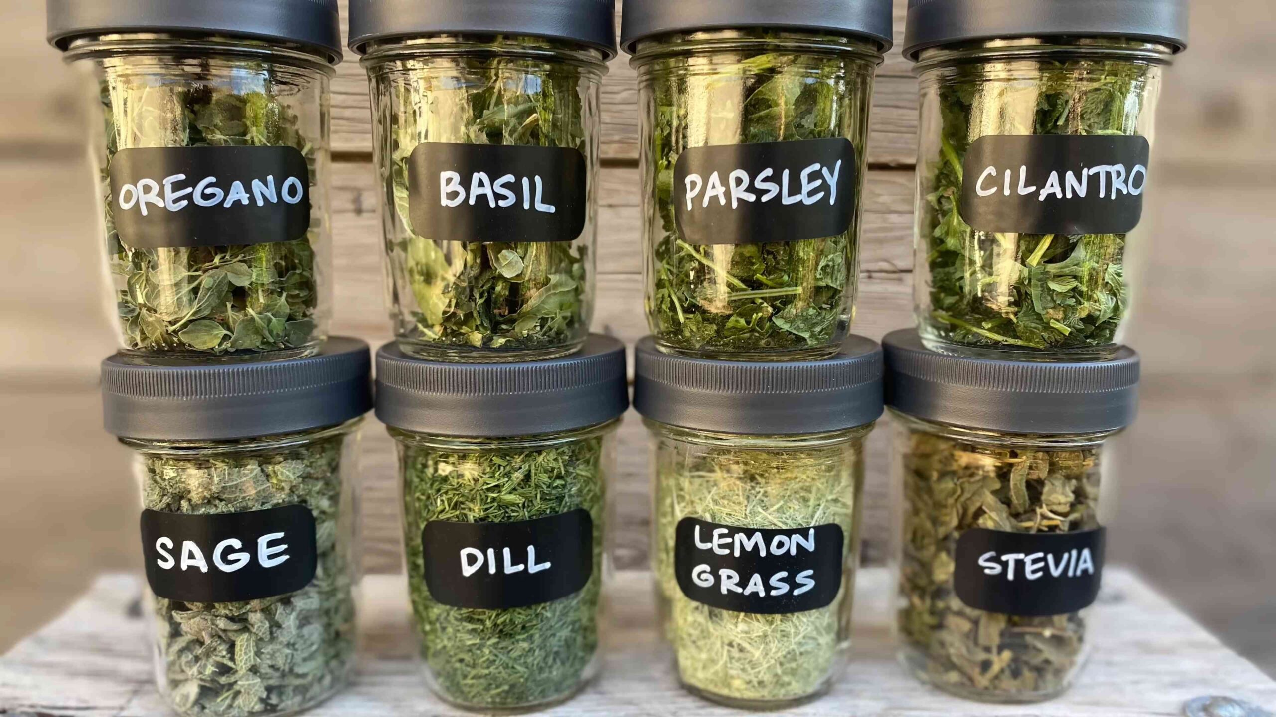 Heat Tolerant Herbs for Summer