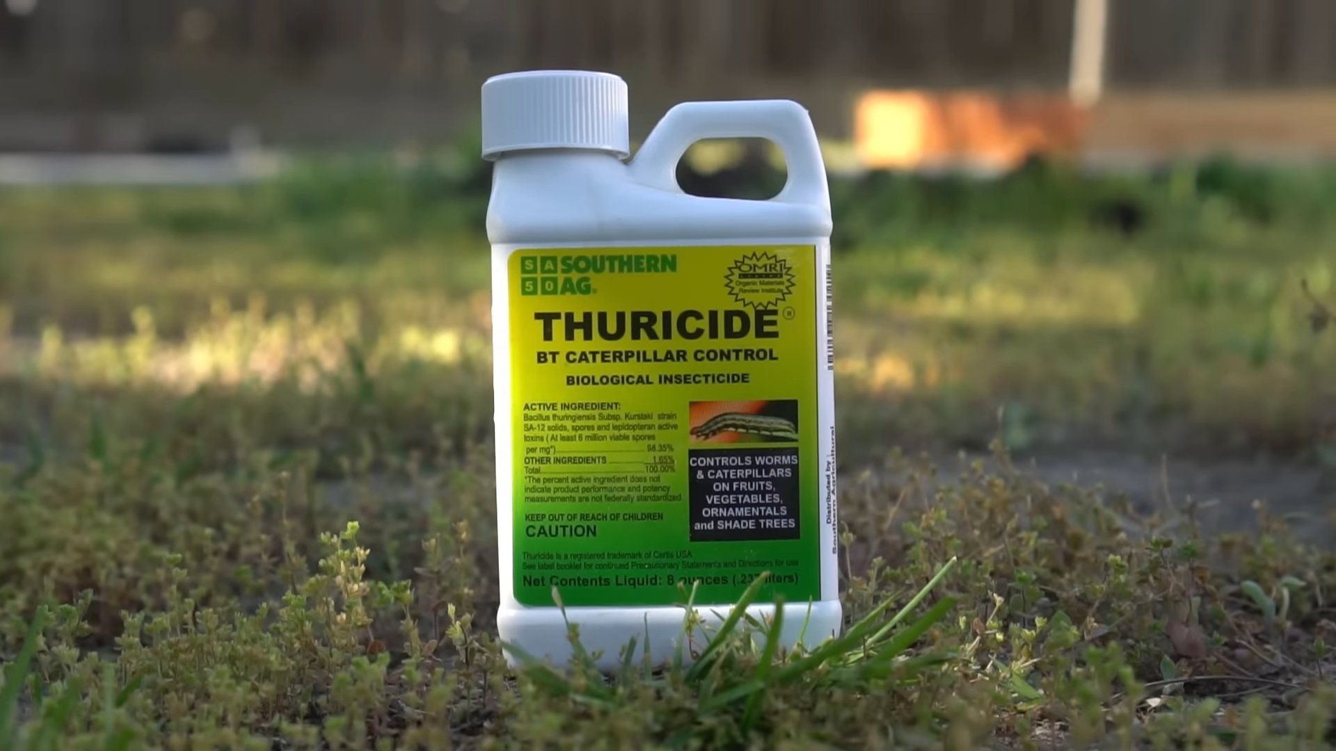 Thuricide caterpillar control DIY
